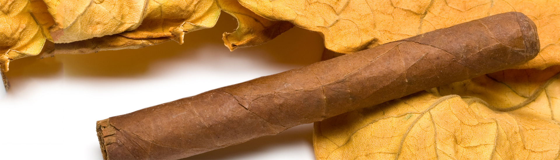 Cigar With Tobacco Leaves
